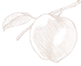 divider_apple divider_apple